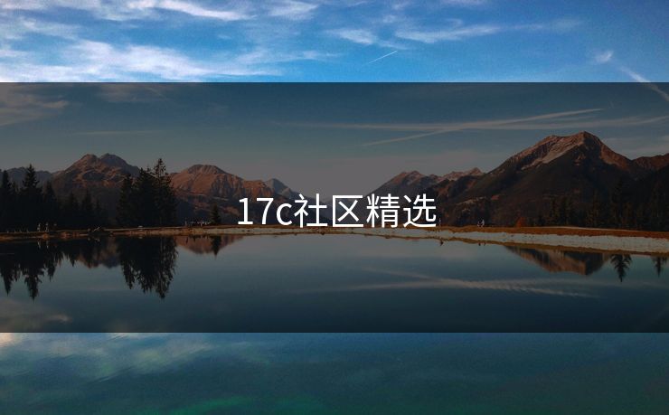 17c社区精选