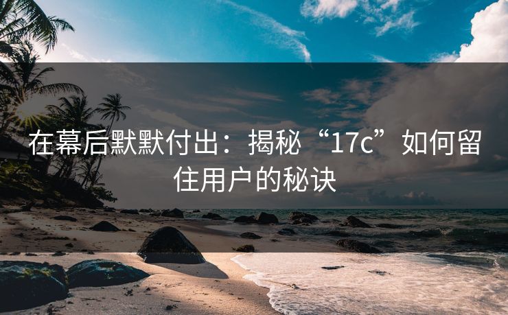 在幕后默默付出：揭秘“17c”如何留住用户的秘诀